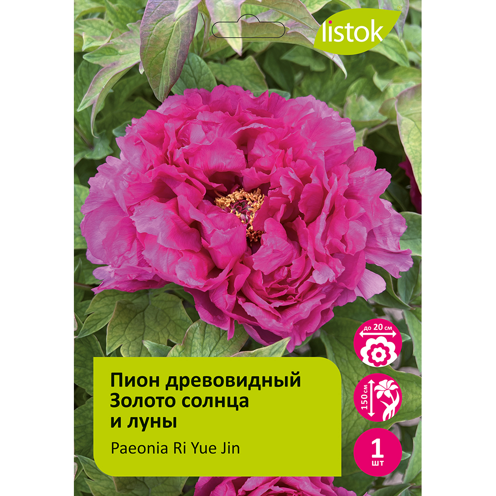 Пион древовидный Золото солнца и луны 1шт/Paeonia Ri Yue Jin(Sun and moon brocade)(Ри Ю Жин) Японская селекция