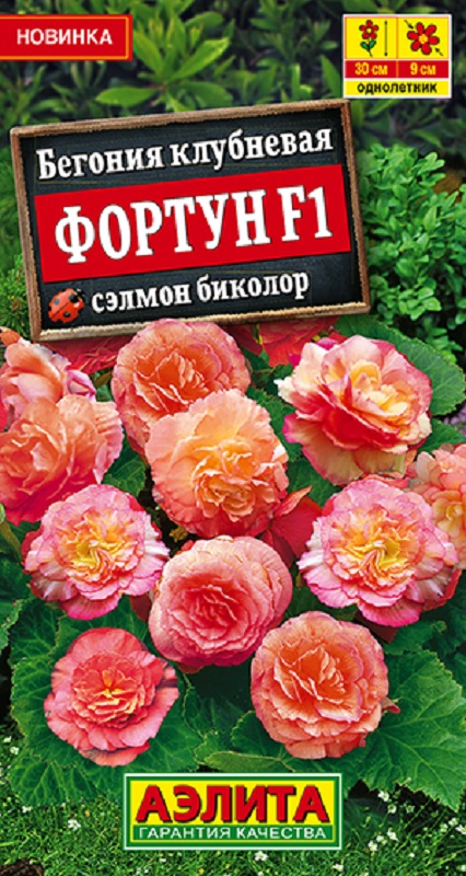 Бегония Фортун F1 сэлмон биколор 5шт /10