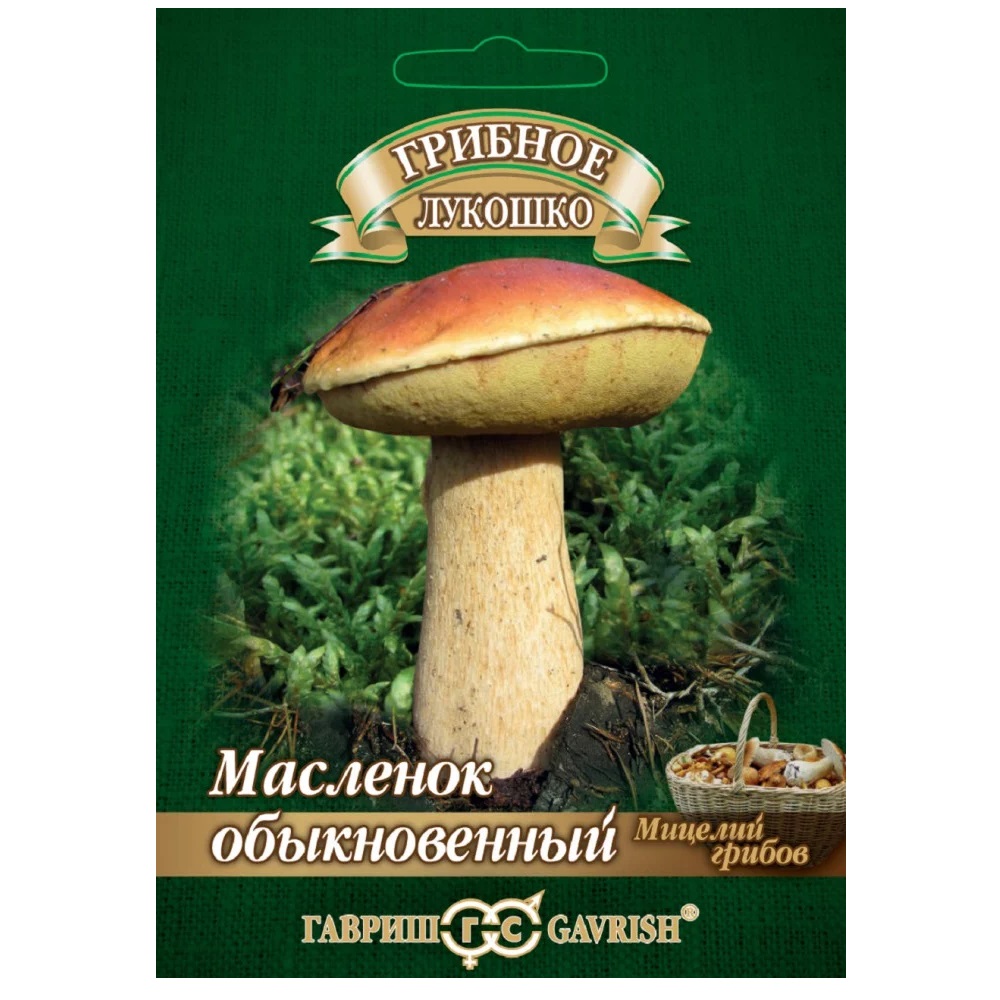 Грибы Масленок обыкновенный в субстрате  15мл/5/10