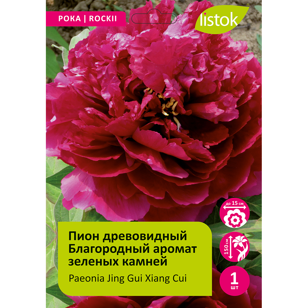 Пион древовидный Благородный аромат зеленых камней 1шт/Paeonia Jing Gui Xiang Cui (Цзин Гуй Сян Цуй)