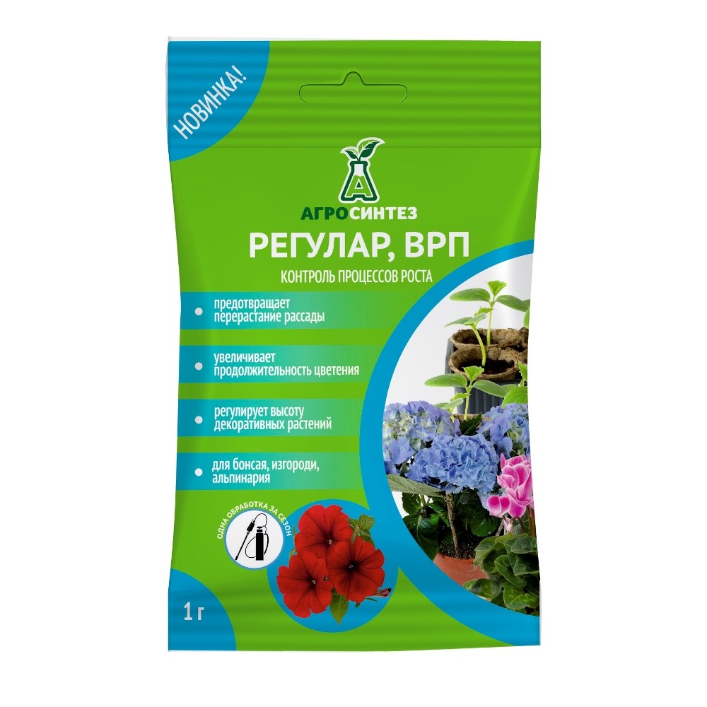 Регулар 1 гр  /100