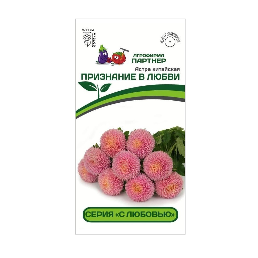 Астра Признание в любви китайская 5шт /10