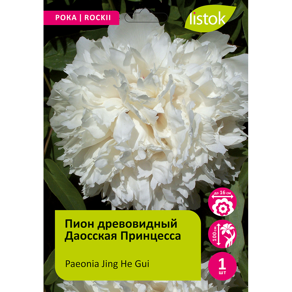 Пион древовидный Даосская Принцесса 1шт/Paeonia Jing He Gui (Цзин Хэ Гуй)