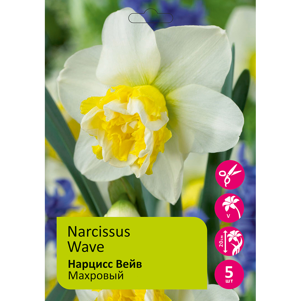 Нарциссы Вейв 5шт 14/16 / Narcissus Wave