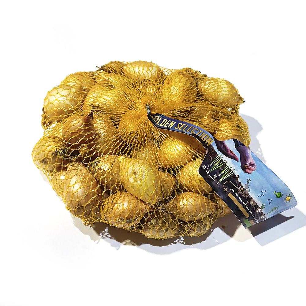 Лук-севок  Сеттон (21/24)  0,5кг +/- 10%